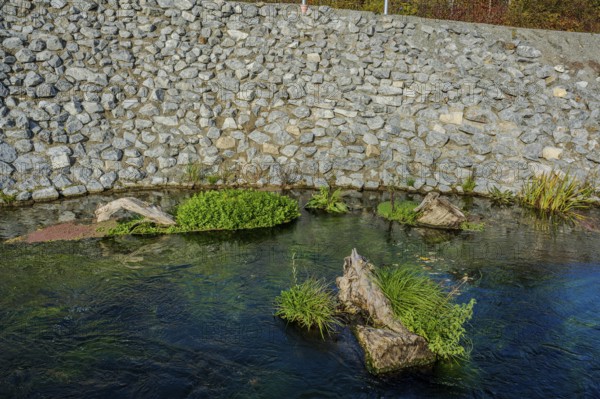 A clear river flows gently between stones. Green plants grow on submerged tree trunks. The sunlight shines on the water surface and reflects the colors. Landau an der Isar, Lower Bavaria