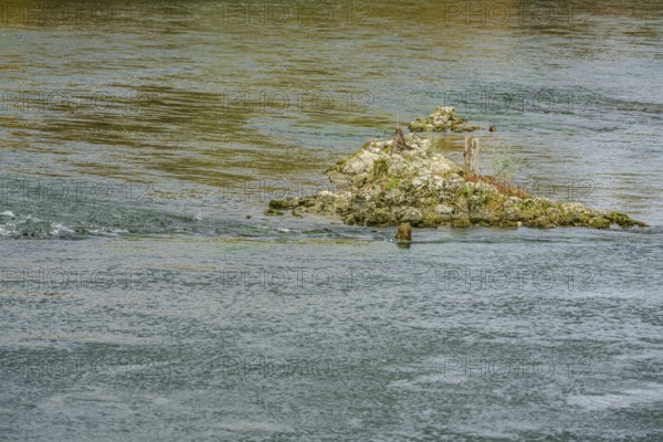 A small island of rocks juts out of the water. It is covered with grass and plants. The river flows quietly around the island at dusk. Landau an der Isar, Lower Bavaria