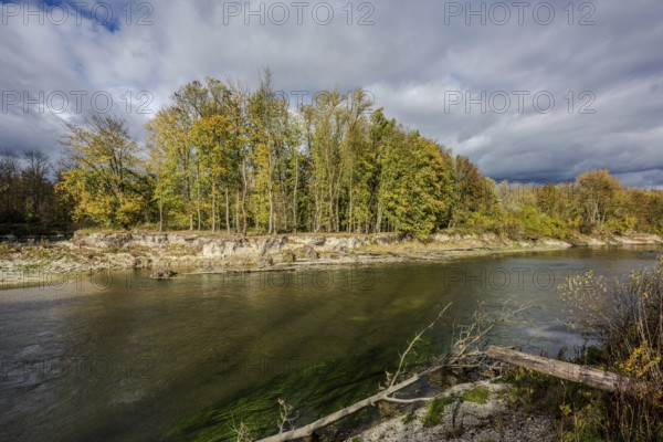 The restored Isar flows through a picturesque landscape in autumn. The trees along the shore show bright colors. The clouds in the sky give the picture a special atmosphere. Landau an der Isar, Lower Bavaria