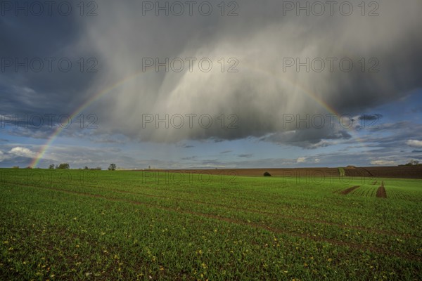 A rainbow stretches over a lush green field, while the clouds in the background gather after the rain. The rural environment gives off a peaceful feeling. Landau an der Isar, Lower Bavaria