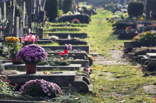 Beautiful flower bunch on graves, autumn on cemetery, Prague, Czech Republic, sunny day, All souls day concept Prague, Czech republic