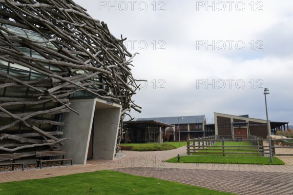 Capi hnizdo Storks Nest riding arena covered with wood resembling a giant birds nest on November 23, 2019 in Olbramovice, Czech Republic