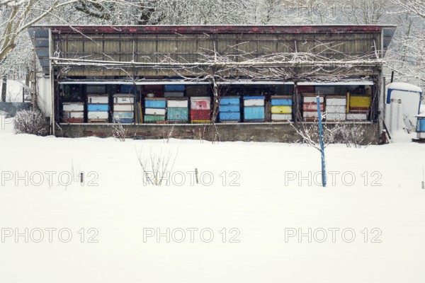 Vintage colorful wooden beehives on snowy winter freezing day Prague Czech republic