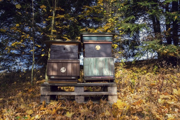 Colorful wooden beehives in beatiful autumn nature, sunny day Prague Czech republic