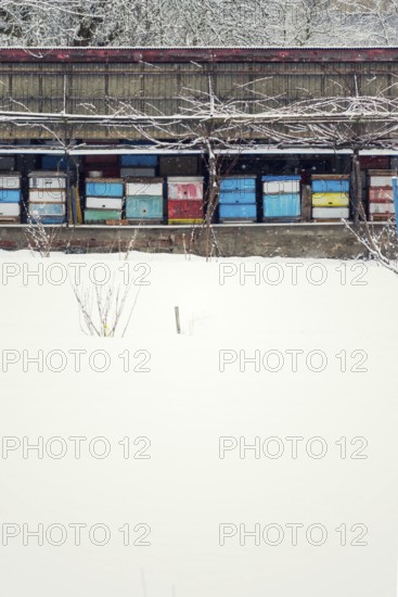 Vintage colorful wooden beehives on snowy winter freezing day Prague Czech republic