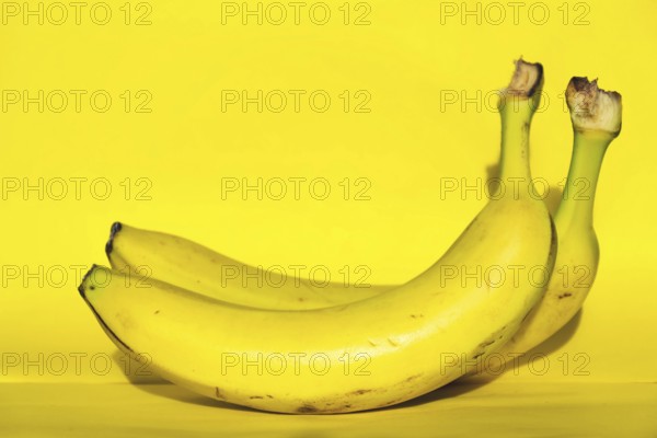 Two yellow fresh bananas fruit lying isolated on yellow background, healthy diet Prague Czech republic