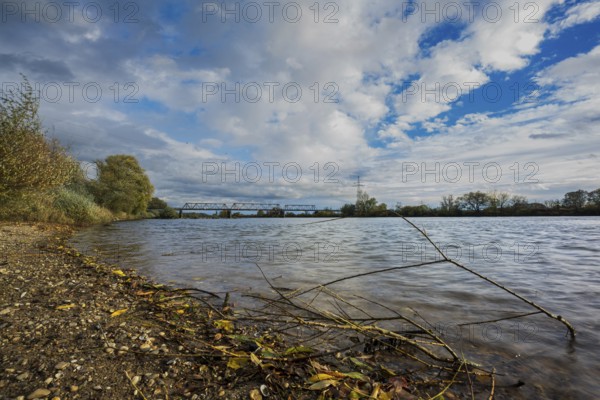 On a cloudy autumn day, the Danube flows calmly. There are branches and leaves on the shore, while a bridge is visible in the distance. Nature shows its colors. Bogen, Lower Bavaria