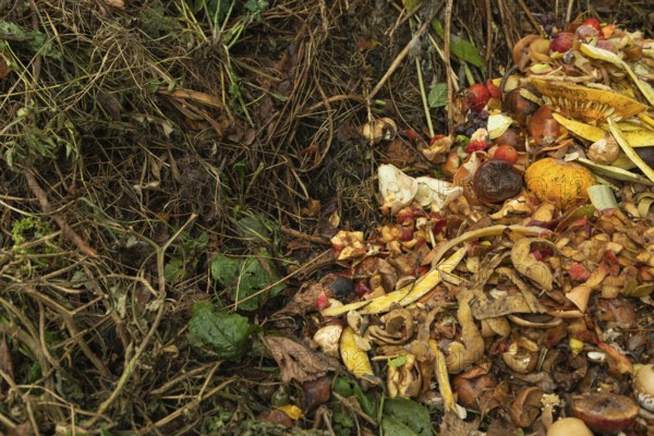 Compost pile made of organic food, leaves, vegetable and fruit Waste mix, Zero waste and Eco friendly Recycling concept