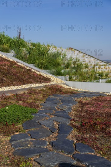 Extensive green ecological living sod roof with root zone waste water sewage treatment plant, sunny summer day Prague Czech republic