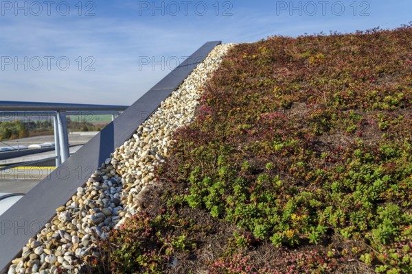 Extensive green ecological living sod roof with root zone waste water sewage treatment plant, sunny summer day Prague Czech republic