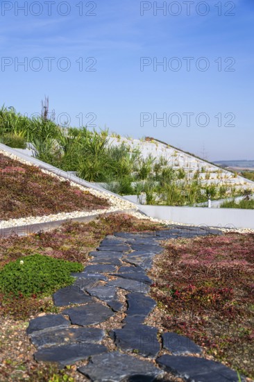 Root zone waste water sewage treatment plant on the extensive green ecological living sod roof Prague Czech republic