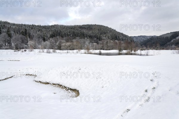 Snow on golf course in winter, forest background, copy space Karlovy Vary Czech republic