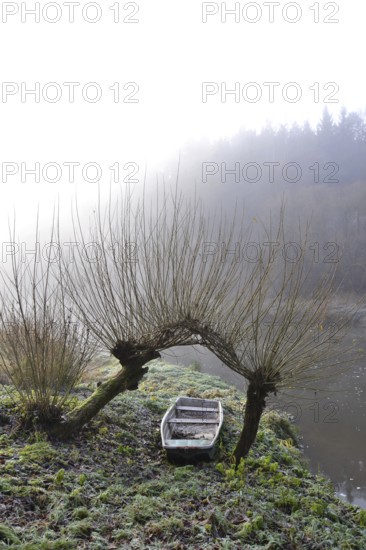 Boat under willow trees in foggy morning, shore of Luznice River, Czech Republic, peaceful relaxation leisure free time or weather forecast concept Krivoklat Czech republic