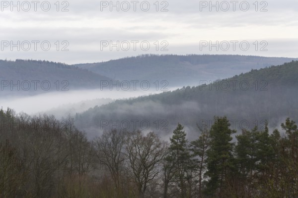 Valley with forest hiding in fog, autumn or winter foggy morning Krivoklat Czech republic