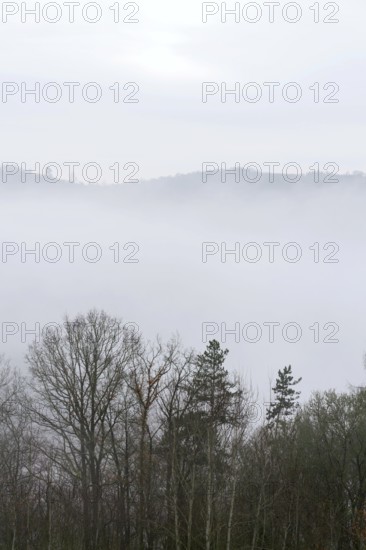 Valley with forest hiding in fog, autumn or winter foggy morning Krivoklat Czech republic