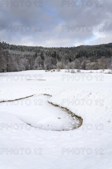 Snow on golf course in winter, forest background, copy space Karlovy Vary Czech republic
