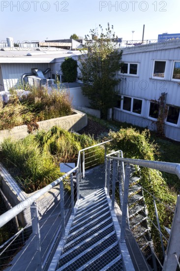 Green roof with root zone waste water treatment, exterior facade on modern building cooling with plants air conditioning Slavkov Czech republic