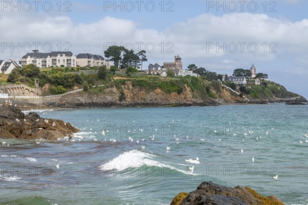 The rocky bay of the Plage de la Comtesse with a little wave wave in the turquoise water, which is bordered in the background by a headland built with villas and the offshore Ile de la Comtesse as seagulls fly across the sea, Saint-Quay-Portrieux, Saint-Brieuc Bay, Cotes-d-Armor, Brittany, France