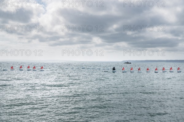 A series of small sailboats, probably optimists, with red and white ringed sails, move in formation parallel to the coast across the slightly curled turquoise water, behind which a beacon can be seen on a rocky headland, Plerin, Saint-Brieuc Bay, Cotes-d-Armor, Brittany region, France