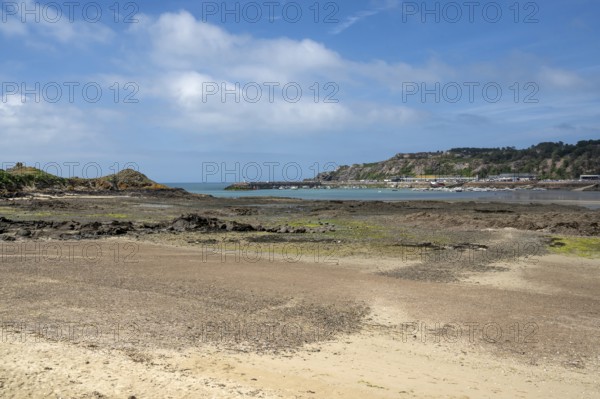 An extensive, humid sandy and rocky beach at low tide stretches out in the foreground, while in the background the development of the village and a wooded coastline with the lighthouse on the cape form a picturesque backdrop, Erquy, Saint-Brieuc Bay, Côtes-d'Armor, Brittany region, France