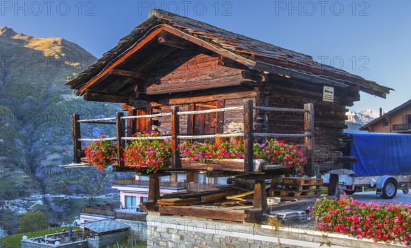 Typical granary on the outskirts of the village, Grächen, Mattertal, Valais, Switzerland