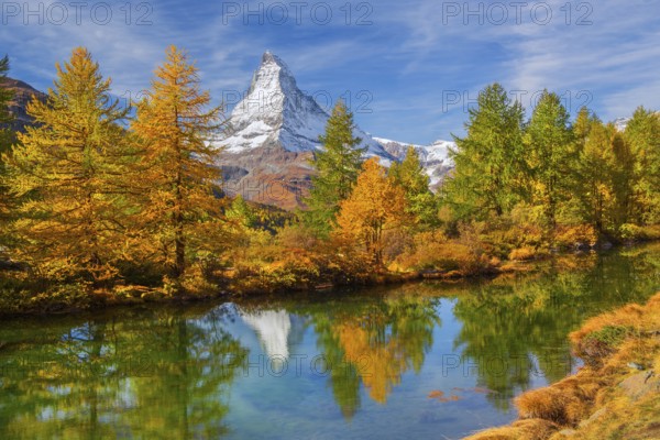 Matterhorn 4478 m with reflection in Lake Grindji in autumn, Zermatt, Mattertal, Valais, Switzerland