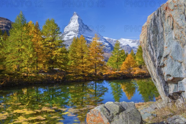 Matterhorn 4478 m above Lake Grindji in autumn, Zermatt, Mattertal, Valais, Switzerland
