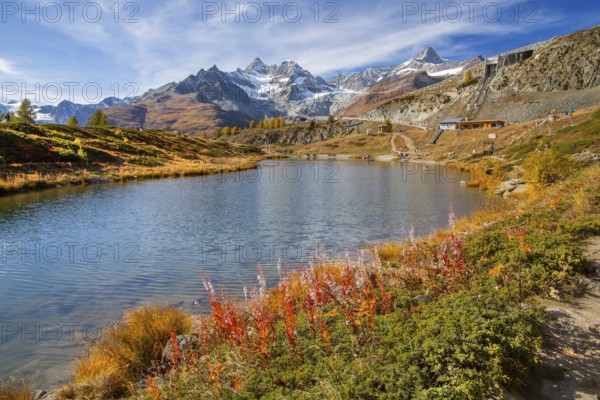 Leisee below the Sunnegga with Zinalrothorn 4221m in autumn, Zermatt, Mattertal, Valais, Switzerland