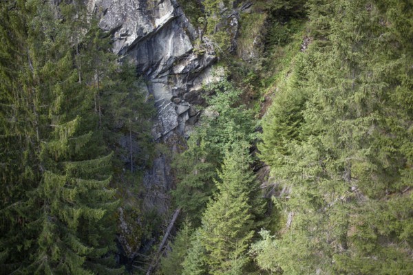 View of forest and rocks from the suspension bridge on the Sunnenseit'n-Weg hiking trail, in autumn, Neustift im Stubai Valley, Stubai Valley, Tyrol, Austria