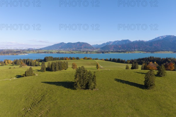 Natural landscape with Lake Forggensee, surrounded by mountains and trees, near Füssen, Allgäu, Swabia, Bavaria, Germany