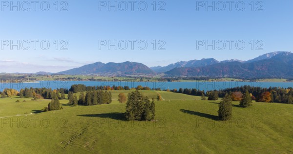 Idyllic landscape with Forggensee, surrounded by mountains and autumn trees, near Füssen, Allgäu, Swabia, Bavaria, Germany