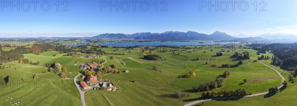 Extensive landscape with mountains, Forggensee and a clear view in a panorama, near Füssen, Allgäu, Swabia, Bavaria, Germany