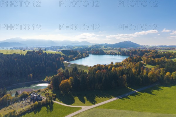 View of Forggensee surrounded by trees and mountains under clear sky, dam, reservoir, near Füssen, Allgäu, Swabia, Bavaria, Germany
