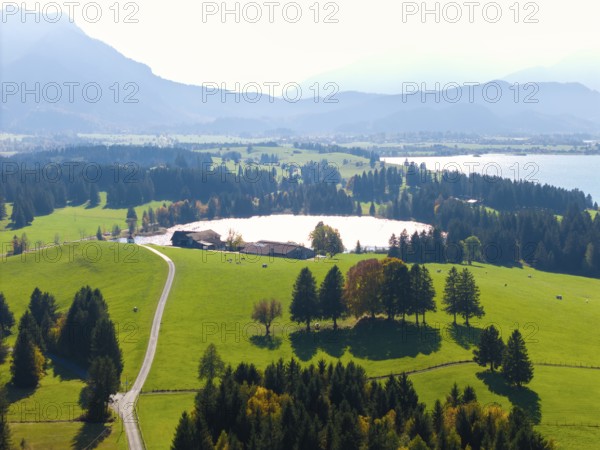 Wide, green landscape with wooded areas, lake and mountain view under blue sky, farm, near Füssen, Allgäu, Swabia, Bavaria, Germany