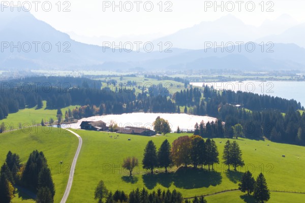 Hilly and wooded landscape with farm, Hegratsrieder See and mountains, near Füssen, Allgäu, Swabia, Bavaria, Germany