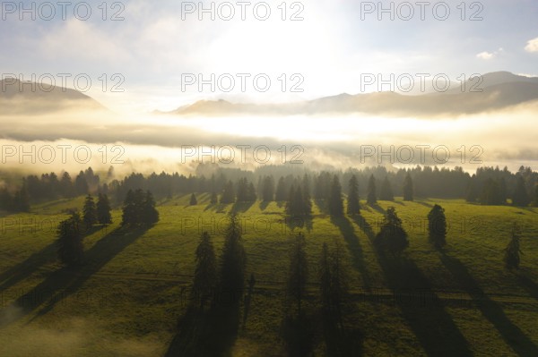 Foggy mountain landscape with long shadows on sunny meadow, near Füssen, Allgäu, Swabia, Bavaria, Germany