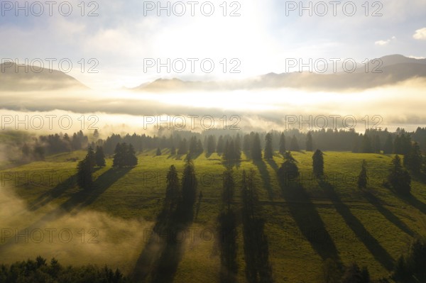 Sunlight illuminates foggy landscape with long tree shadows in a meadow, near Füssen, Allgäu, Swabia, Bavaria, Germany