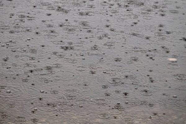 Raindrops falling on a lake, autumn, Germany