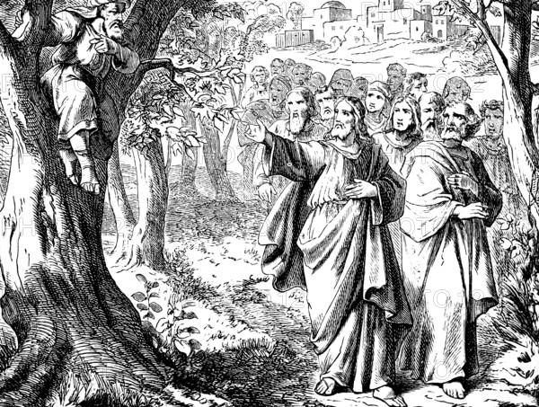 Jesus and the tax collector Zacchaeus on the mulberry tree, Jericho, Gospel of Luke, chapter 19, sinner, kingdom of God, goods, deceit, blessed, New Testament, Bible, historical illustration 1877