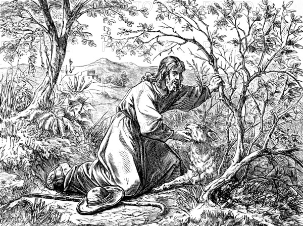 The shepherd and the lost sheep, Gospel of Luke, chapter 15, landscape, farm, forest, search, find, bush, stock, ut, shepherd, New Testament, Bible, historical illustration 1877