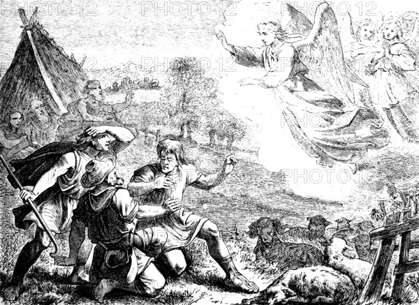 Do not be afraid, I proclaim great joy to you, Gospel of Luke, chapter 2, God's angel, birth of Jesus, shepherd, sheep, landscape, hut, New Testament, Bible, historical illustration 1877