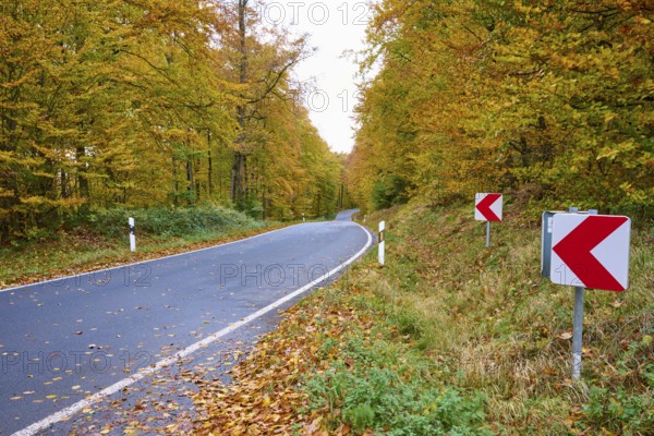 Road through an autumn forest with warning signs, autumn, Spessart, Bavaria, Germany