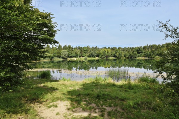 Scenic view of Waldsee forest lake in Viernheim, Germany on a sunny day surrounded by nature