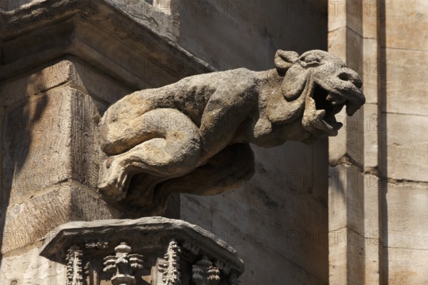 Gargoyles at City Hall on Grand Place, Brussels, Belgium