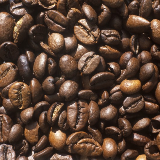 Roasted coffee beans