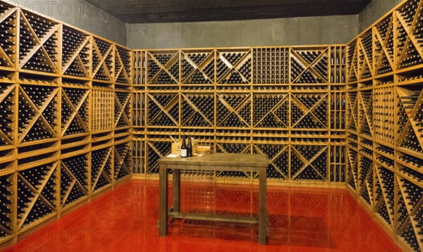 Empty minimalistic wine cellar with wine bottle racks and a table, Hin Areni Winery, Areni Village, Vayots Dzor Province, Wajoz Dzor, Armenia, Caucasus