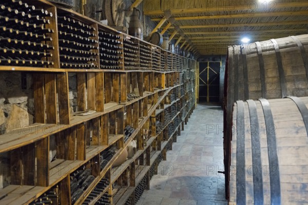 A wine cellar with wooden shelves and large barrels conveys a rustic atmosphere, Hin Areni Winery, Vayots Dzor Province, Wajoz Dzor, Armenia, Caucasus