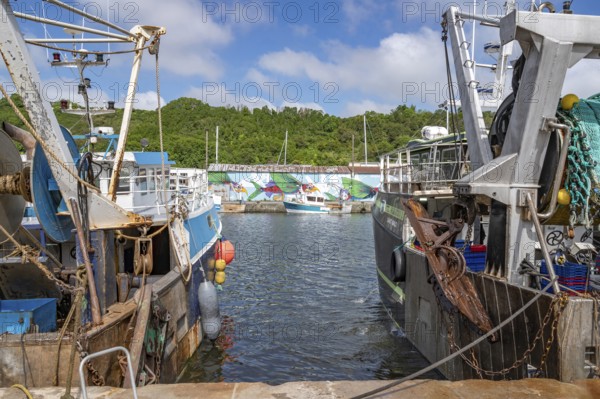 Two large, rusty fishing boats in the Port du Legue harbour at the mouth of the Legue. In the background, a quay wall with colorful murals with marine animals such as stylized fish and sailboats. Green wooded slopes rise above it under a blue sky with white clouds., Saint-Brieuc, Cotes-d'Armor department, Brittany region