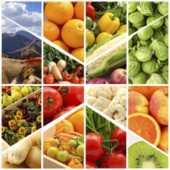 Food collage of various biological and organic fruits and vegetables, fresh healthy lifestyle, with a variety of vitamins, citrus fruits, green and red organic vegetables, kiwi, bananas, apple, avocados, tomatoes and green salad, symbolic background illustration for banner, template or wallpaper, AI generated