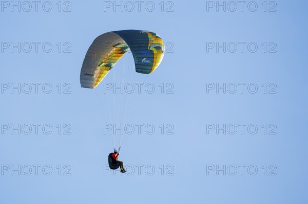 A paraglider floats under a colorful sail in clear blue sky, Schwangau, Ostallgäu, Allgäu, Swabia, Bavaria, Germany